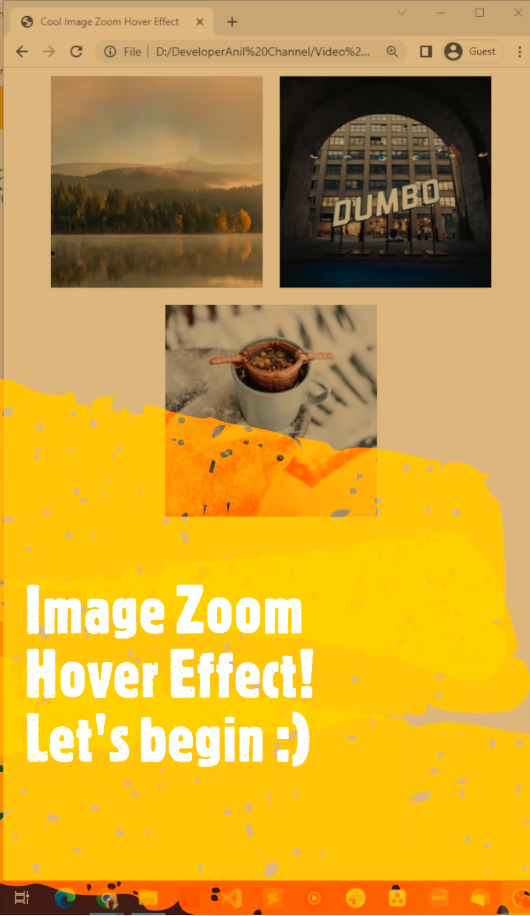 Image Hover Effect